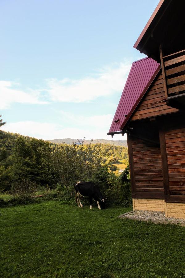 ירמכה Cottage "Karpatske Shale" מראה חיצוני תמונה