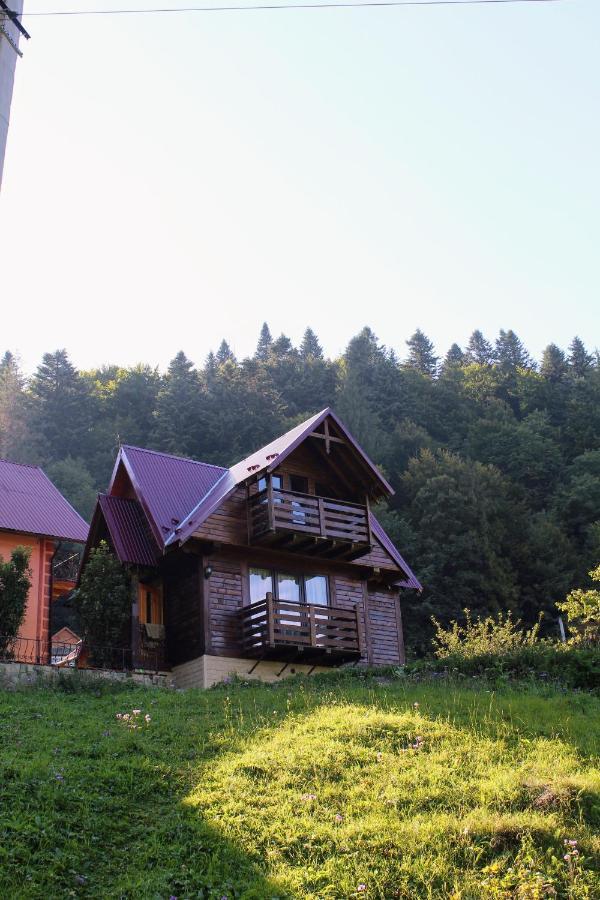ירמכה Cottage "Karpatske Shale" מראה חיצוני תמונה