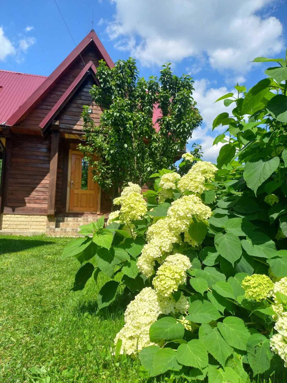 ירמכה Cottage "Karpatske Shale" מראה חיצוני תמונה